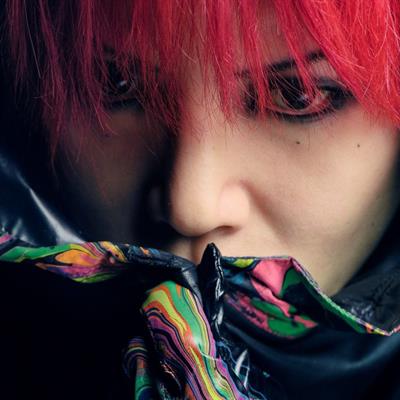 Hide