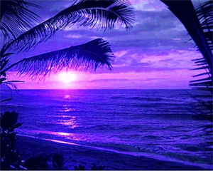 Evening