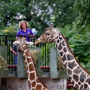 Zoo