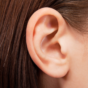 Ears