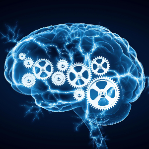 Intelligence