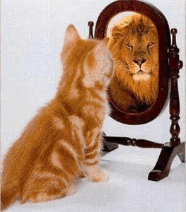 Confidence