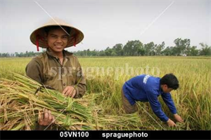 Farmer