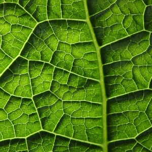 Texture