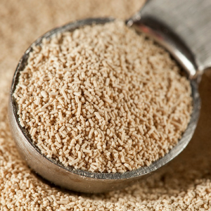 Yeast