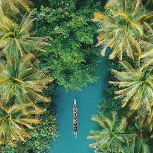 Tropics