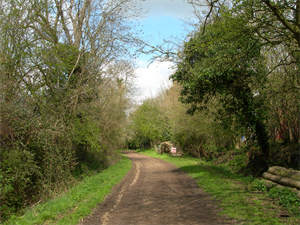 Lane