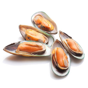 Shellfish