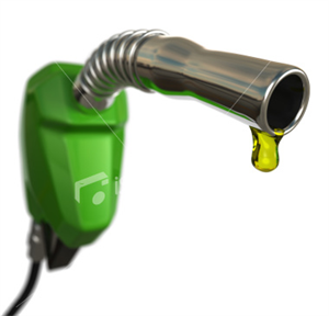 Fuel