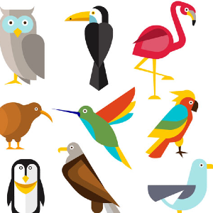 Species
