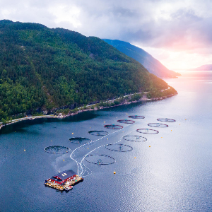 Aquaculture