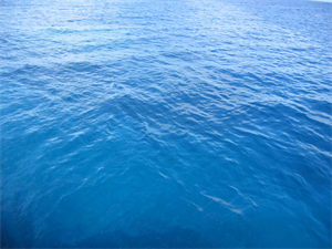 Ocean