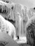 Frozen